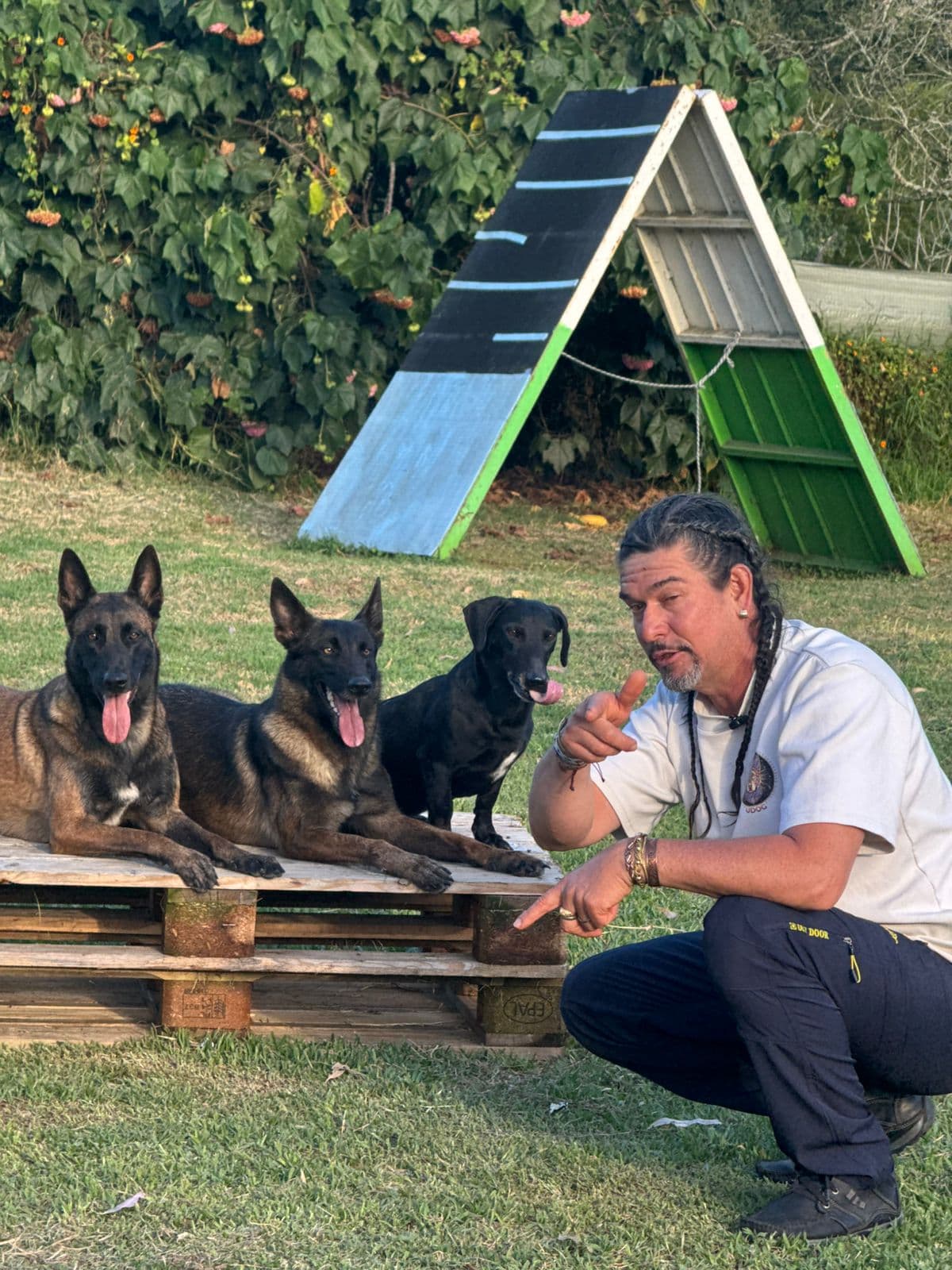 Perros de trabajo junto a estructura de agility en la Universidad